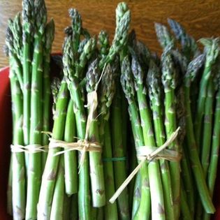 asparagus1.jpg